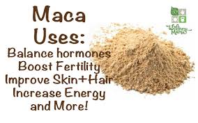Image result for maca