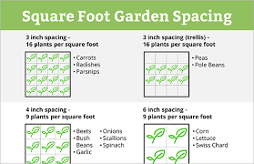 Square Foot Garden Spacing For Big