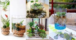 10 Creative Diy Table Top Water Garden