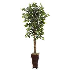 nearly natural 6 5 ft artificial ficus