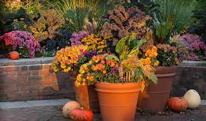 Tips For Your Fall Container Gardens