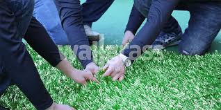 Artificial Grass Wall Panel Production
