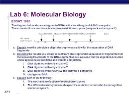 Principles and techniques of biochemistry and molecular biology 