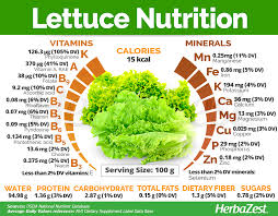 lettuce herbazest
