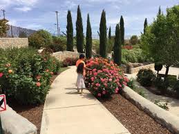 El Paso Municipal Rose Garden April 5