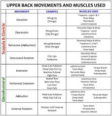 14 Veracious Shoulder Joint Movement Analysis Chart