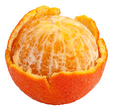 Sunkist Our Citrus