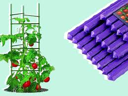tomato plant support ideas for your