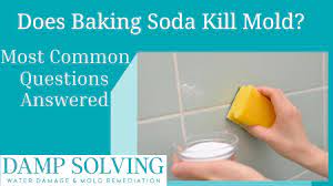 does baking soda kill mold detailed