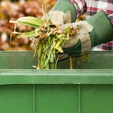 here s what to do with yard waste