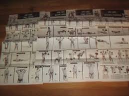 Original 4 Lot Dan Lurie Bodybuilding Courses Wall Charts