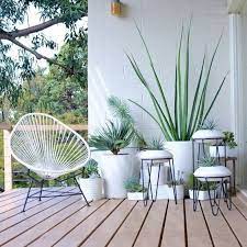 Decorating With Pot Plants From The
