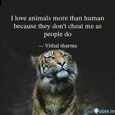 And if you love your animal, then you should feed them something that's not dangerous for them. I Love Animals More Than Quotes Writings By Vishal Sharma Yourquote