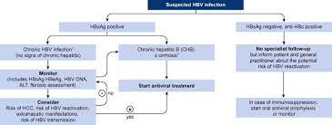The existence of asymptomatic hepatitis b carriers with normal liver histology and function suggests that the virus is. Easl 2017 Clinical Practice Guidelines On The Management Of Hepatitis B Virus Infection Sciencedirect