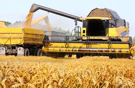 Agricultura va avea cea mai mare scădere a valorii adăugate în PIB din ultimii cinci ani/ Scădere de aproape 50% la producţia de grâu