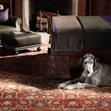 safavieh montauk rugs rugs direct