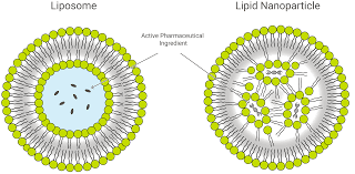 liposomes and lipid nanoparticles as
