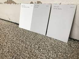 Paint Color Beige Carpet Gray Walls