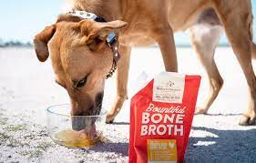 foods that hydrate dogs stella chewy s