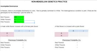 What are possible genotypes of their children's hair colors? Mendelian Genetics Worksheet Teachers Pay Teachers
