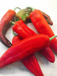 roasted anaheim pepper salsa fuel to
