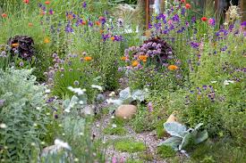 Check spelling or type a new query. 20 Best Perennial Plants Bbc Gardeners World Magazine