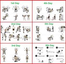 The 6 Day Bodybuilding Routine Plan Ethan Stone