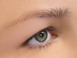 permanent makeup for eyebrows and lips