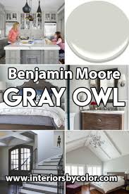benjamin moore gray owl paint color