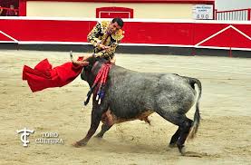 Toro Cultura | Emilio de Justo matador de toros