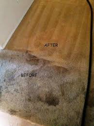 brightway carpet cleaning reviews