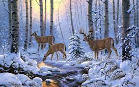 38+] Winter Deer Wallpaper Backgrounds ...