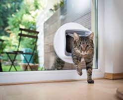 Cat Door Installation Cost Guide