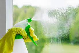 eco friendly cleaning home cleaning