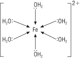 Image result for transition metal complex