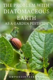 diatomaceous earth as a pesticide