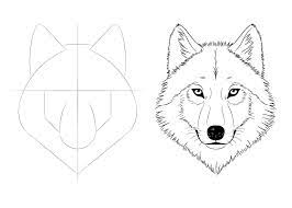 how to draw a wolf face head step by