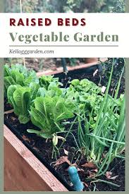Vegetable Gardening In Raised Beds