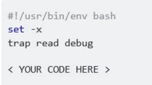 running debugging a bash script line
