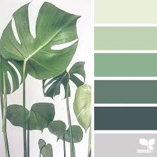 Green Color Combinations