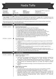 Resume Examples By Real People Sales Support Resume Sample