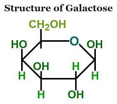 Galactose Formula Structure