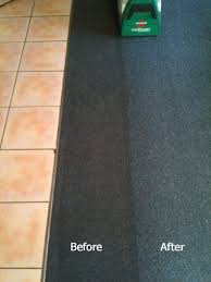 carpet cleaning auckland bidbud
