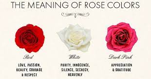the meaning of rose colors