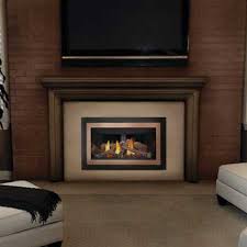 Best Gas Fireplace Inserts Fireplaces