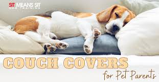 The Best Couch Covers For Pet Pas