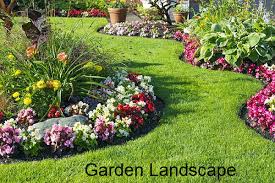 How To Design Your Landscape