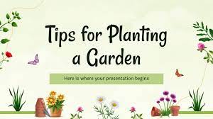 Tips For Planting A Garden Google