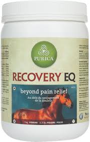 Recovery Eq Joint Supplement For Horses Purica Powdered