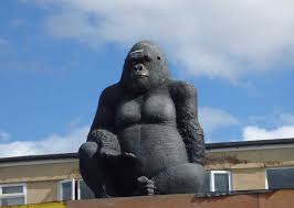 stirchley gorilla a birmingham gem